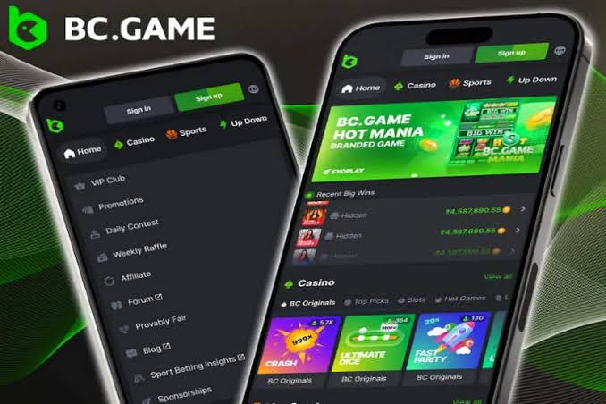 Exploring BC.Game Mirror Sites Your Guide to Secure Gaming